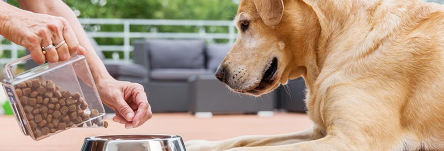 achat en ligne de croquettes naturelles pour chien et chat